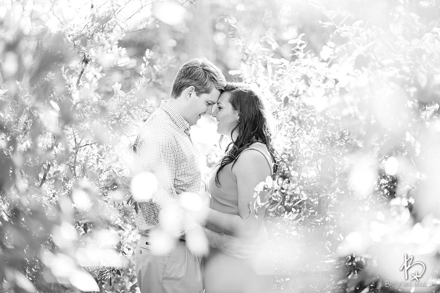 Jacksonville Wedding Photographers, Brooke Images, Fernandina Beach, Robin and Kyle's Engagement Session