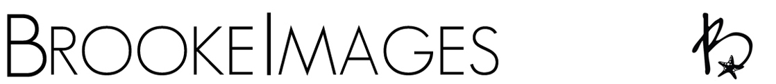 Jacksonville Wedding Photographers | St. Augustine Wedding Photographers | Amelia Island Wedding Photographers logo